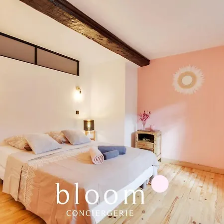 Magnifique Logement Vieille Appartement