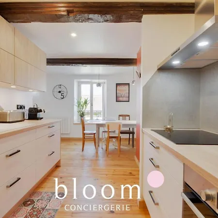 Appartement Magnifique Logement Vieille Nancy