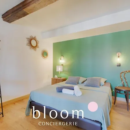 Magnifique Logement Vieille Appartement Nancy