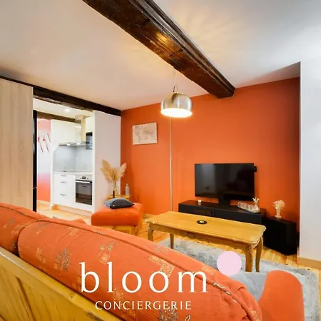 Appartement Magnifique Logement Vieille *